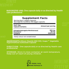 Astragalus 500mg with Patented Bioavailability | Enriched with Resveratrol & Lycopene | Supports Cardiovascular, Kidney & Respiratory Health | 60 Veggie Capsules - Haleup