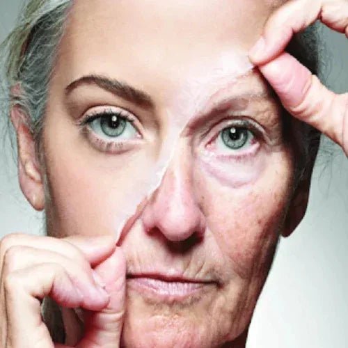 Longevity / Anti-ageing - Haleup