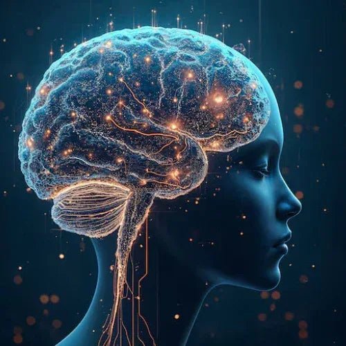 Nerve Health - Haleup