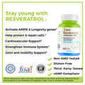Trans-Resveratrol + Co Q10 Capsules – 60 Veggie Capsules - Haleup