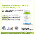 Astragalus 500mg with Patented Bioavailability | Enriched with Resveratrol & Lycopene | Supports Cardiovascular, Kidney & Respiratory Health | 60 Veggie Capsules - Haleup